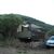 Nos bungalows